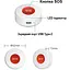 Кнопка SOS Nectronix ER-W1 для пожилых и больных людей для экстренного вызова помощи Wifi приложение Tuya Smart - миниатюра 4