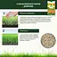 Тверде добриво тривалої дії для газону (осінь) COMPO 4 кг - мініатюра 4