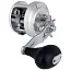 Катушка Shimano Ocea Calcutta 301 HG 5 1BB 6.0:1 - миниатюра 1