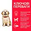 Сухий корм Hill’s SP Puppy Large Breed для цуценят великих порід з куркою 14.5 кг - мініатюра 2