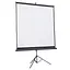 Проекционный экран Atria TRM-NTSC-60D - миниатюра 1