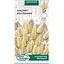 Насіння Зайцехвіст Насіння України Яйцеподібний 0.2 г (784100) - мініатюра 1