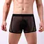 Чоловічі труси спокусливі боксери еластичні в сітку Clever Menmode XL чорні - мініатюра 1