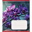 Зошит учнівський "Орхідеї" 018-530261K-4 в клітинку, 18 аркушів - мініатюра 1