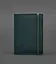 Кожаная обложка для паспорта 1.0 зеленая - миниатюра 1