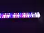 Світильник для рослин Brille FLF-09 LED 9W Fito Grow Red+White+Blue - мініатюра 3