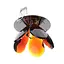 Светильник точечный Brille декоративный HDL-G40 CHR/BROWN 162223 - миниатюра 1