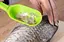 Рибочистка пластикова з контейнером 20 см, Kitchette Салатовий 83647 - мініатюра 6