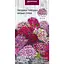 Насіння Гвоздика турецька низька Насіння України суміш 0.25 г (752300) - мініатюра 1