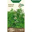 Семена Кориандр Насіння України Нектар 3 г (569500) - миниатюра 1
