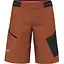 Шорти Salewa Pedroc 3 DST M Cargo Shorts Brick M (1054-013.012.1314) - мініатюра 1