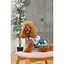 Жилет Pet Fashion Grass для собак розмір M - мініатюра 4