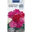 Насіння Гвоздика пір'яста махрова Насіння України суміш 0.2 г (757200) - мініатюра 1