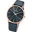 Годинник Festina F20373/2 - мініатюра 1