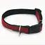 Ошейник для собак Zoo-hunt Стиль 2,0 см 25-38 см капроновый красно-черный - миниатюра 1