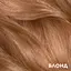 Крем-краска для волос Garnier Color Shampoo Retouch без аммиака Блонд 7.0, 20 мл - миниатюра 8