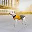 Попона Pet Fashion Roy для собак, розмір XL, хакі-гірчиця - мініатюра 7