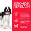 Сухий корм Hill’s SP Adult Medium Breed для дорослих собак середніх порід з ягням і рисом 14 кг - мініатюра 2