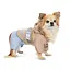 Дощовик Pet Fashion Tina для дівчаток розмір XS2 бежевий/блакитний - мініатюра 2