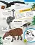LEGO Animal Atlas - мініатюра 4