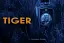 Парфуми Zoologist Perfumes Tiger 60 мл - мініатюра 3