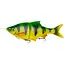 Силікон Savage Gear 4D Line Thru Roach SS 320mm 420.0g 1шт/уп Жовтий/Зелений (1013-1854.16.53) - мініатюра 1
