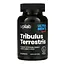 Бустер тестостерону VPLab Tribulus Terrestris 90 капс (1086-2022-10-0281) - мініатюра 1