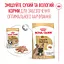 Вологий корм Royal Canin French Bulldog Loaf для собак породи французький бульдог 85 г - мініатюра 5