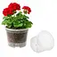 Прозорий пластиковий горщик для рослин із дренажними отворами 0.6 л, набір 5 шт. Прозорий 88389 - мініатюра 6