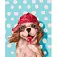 Картина за номерами Brushme Песик з льодяником ©Lucia Heffernan BS53618, 40х50 см - мініатюра 1