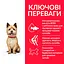 Сухой корм Hill’s SP Adult Healthy Mobility Small&Mini для собак малых и мини пород с курицей 1.5 кг - миниатюра 3