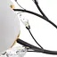 Люстра потолочная Brille G9 160W BK (BL-671C/8) - миниатюра 3