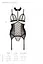 Корсет с открытой грудью Passion DOMINICA CORSet S/M beige пажи для чулок стринги - миниатюра 7