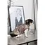 Жилет Pet Fashion Hardy для собак розмір M2 - мініатюра 6
