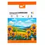 Картон кольоровий односторонній Yes Orange Line, А4, 10 аркушів, папка - мініатюра 1