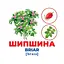 Набор развивающих карточек Гений с пеленок Деревья и кустарники Ранок 10107196, 17 карточек - миниатюра 3
