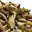 Чай Jinglong Tea Factory Дикие почки с пуэрных деревьев Гу Шу Я Бао от Цзин Лун 2021 г. - 50 г - миниатюра 5
