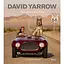 David Yarrow: The Collection - миниатюра 1