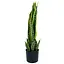 Искусственное растение Engard Sansevieria 57 см (TW-43) - миниатюра 4