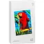 Папір для фотопринтера Xiaomi Instant Photo Paper 6" 40 аркушів (BHR6757GL) [76325] - мініатюра 1