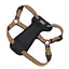 Шлея с нагрудником Coastal K9 Explorer Harness 20.4-45.3 кг светоотражающая для собак (36946_COG38) - миниатюра 1