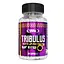 Стимулятор тестостерона Tribulus 1000 mg 60 капсул Real Pharm fit0012806 - миниатюра 1