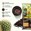 Торфосмесь COMPO CACTEA® для кактусов 5 л - миниатюра 9