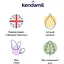 Суха молочна суміш Kendamil Classic 1 0-6 міс. 1.6 кг (2 шт. х 800 г) - мініатюра 3