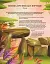 Легенди прадавнього лісу - миниатюра 10