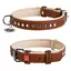 Нашийник для собак шкіряний Waudog Soft з QR-паспортом металічні прикраси Ш 15 мм Д 27-36 см коричневий - мініатюра 1