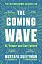 The Coming Wave: AI, Power and Our Future - мініатюра 1