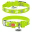 Нашийник для собак Waudog Glamour шкіряний з QR паспортом, візерунок Зірочка, світиться/світловідбивний, XS, Ш 12 мм, Дов 21-29 см (4823089301129) - мініатюра 1