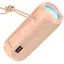 Колонка портативна Borofone BR21 Sports BT speaker Candypink - мініатюра 1