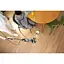 Парова швабра Shark SteamPickUp hard floor cleaner (SD200EU) - мініатюра 9